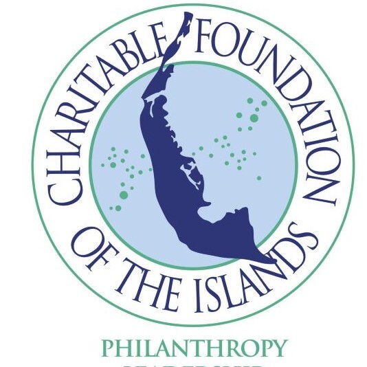 Non-Profit and Leadership Hub Sept - logo